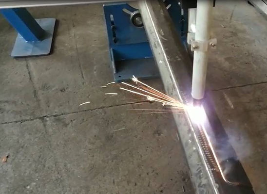 CNC 레이저 라이트 폴 도어 절단 기계 모델 LDC-350/2000